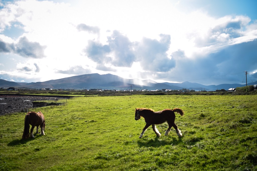 Ireland, 4 must try Irish road trips, Ballycurrane