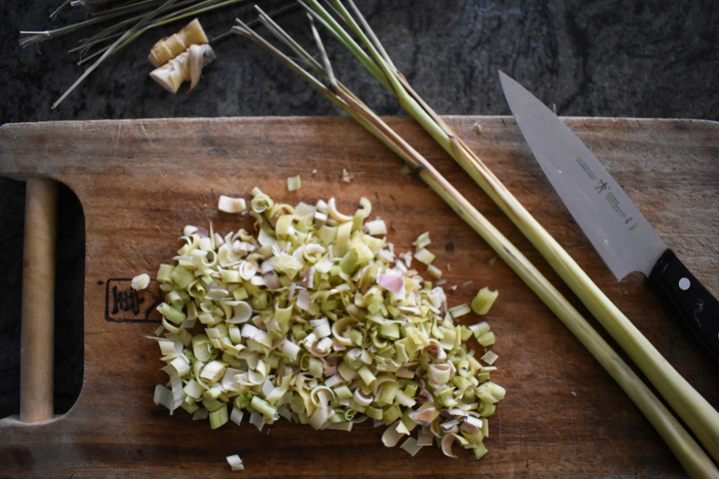 Watermelon Lemongrass Granita